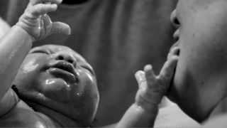 Genea: Genea. World leaders in Fertility.
