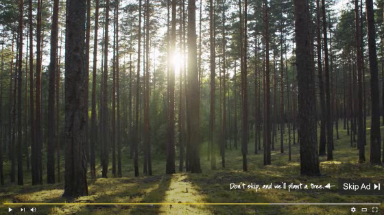 Anheuser Busch Beer: Tree-Roll