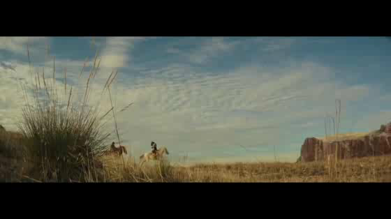 Platano de Canarias: The Gift