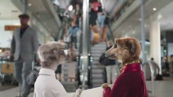 comparethemarket.com: Don't Wombat It, Meerkat It