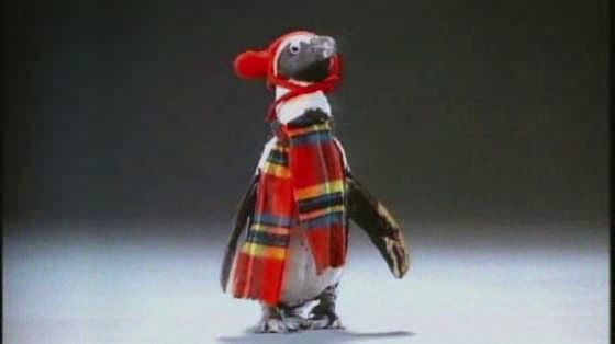 Lenor: Marvellous Scarf