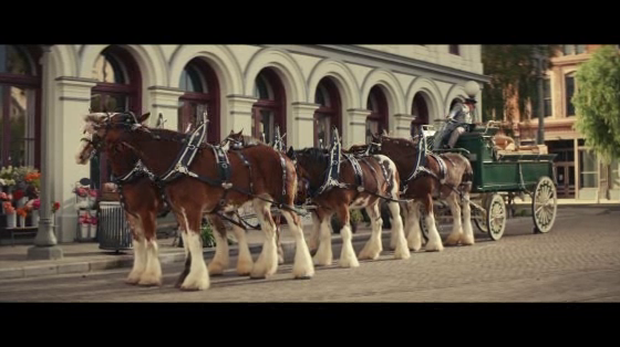 Samuel Adams: Horses