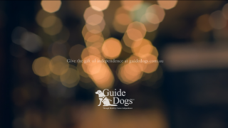 Guide Dogs NSW/ACT: Experience Unseen - City