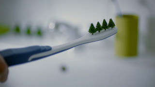 SPAR Range: Miniatrees
