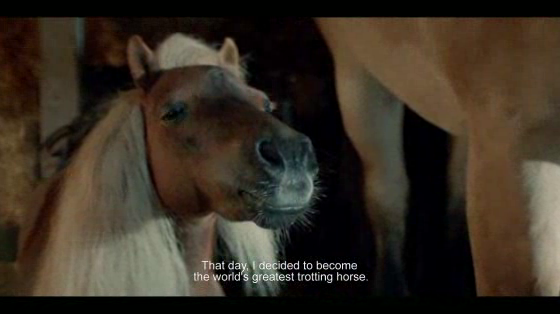 ATG - Swedish Horse Racing: No dream is too big