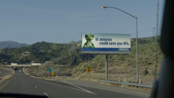 GEICO: Owls