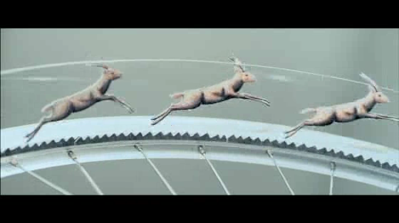 WWF: Cycle for Life