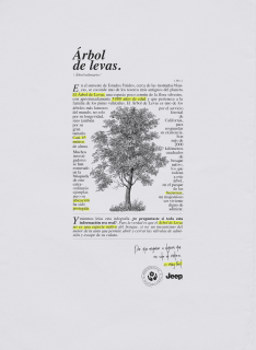 Jeep: Confusing Parts - Árbol de Levas