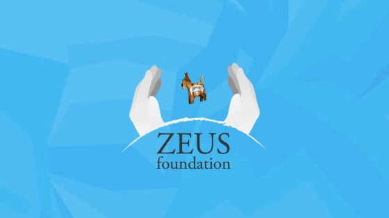 Animal Charitable Foundation: Share Your Warmth