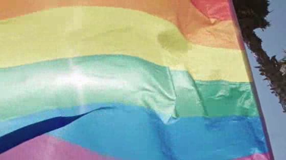 SKYY Vodka: Pride Glass