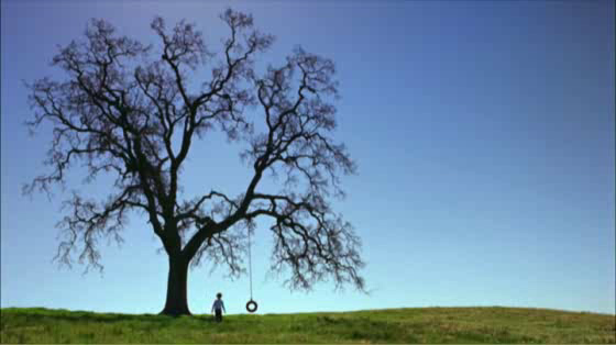 Bridgestone: A Boy and His Tire