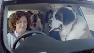 RAC Roadside Assistance: Pooch