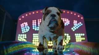 Churchill: Engine takes Churchill to the funfair to demonstrate a new claims service that helps customers keep their chill should life come to a stop