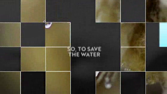 Agua Zalva: For Sale