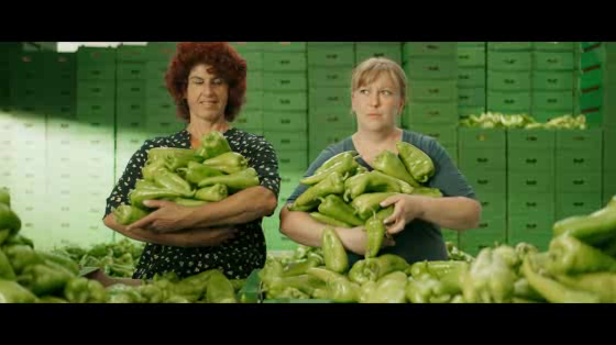 lidl bulgaria: starstruck