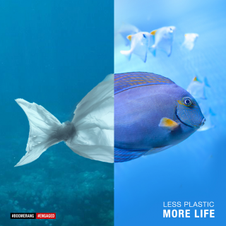 Great Cause: Less Plastic More Life