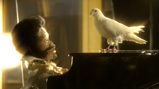 Digital Radio UK and BBC: Endless Dove