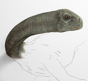 Scribe Colored Pencils: Dinosaur