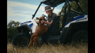 Guide Dogs: Guide Dogs SA/NT Gift in Will TVC