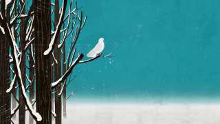 Amnesty International: Voices For Freedom