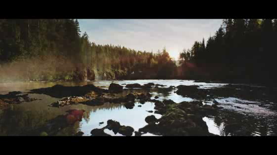 Finlandia Vodka: Kokos Pineapple