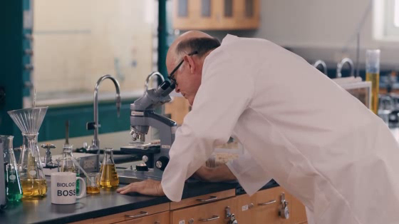 GoodBoyBob: The Lab Rats