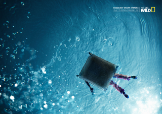 Natgeo wild: Deadliest shark attacks