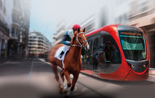 MIM-Morocco International Meeting: At the Pace of Gallops
