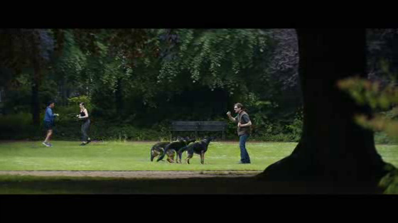 Jaguar: The Pack