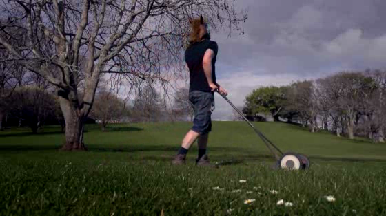 Open Polytechnic: Lawn Mower