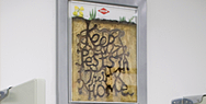 Orkin Pest Control: Ant Farm
