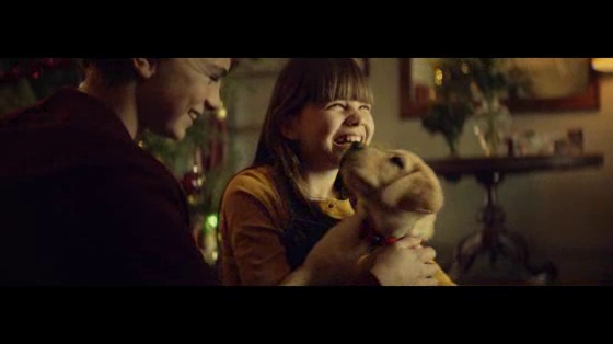 Pedigree: Season of Good Dog