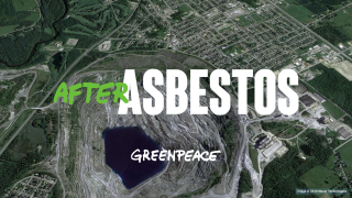 Greenpeace: After Asbestos