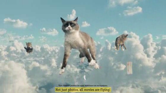 Beeline: Internet Flies