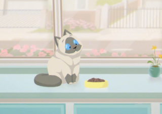 Lucky Pet: The Quest