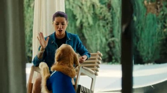 Allianz: Allianz Support Dog Squad