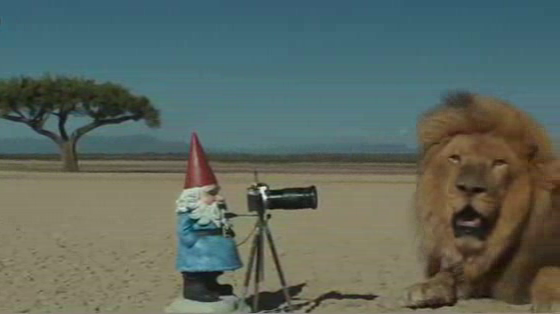 Travelocity: Safari