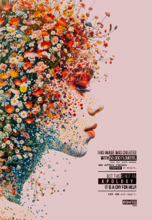 Ponto OOH: 50k Flowers
