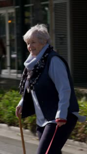 Motor Accident Commission of South Australia: Elderly Dog Walker