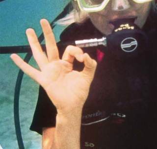 Volkswagen Driver Alert System: Diver