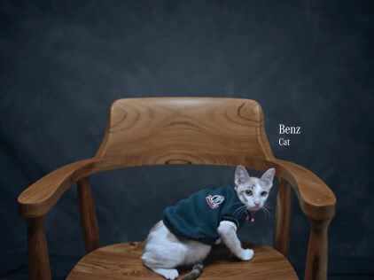 Mercedes-Benz Thailand: In The Name of Benz