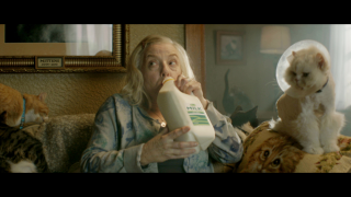 Devondale Long Life Milk: Crazy Cat Lady