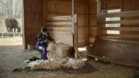 FedEx: Sweater