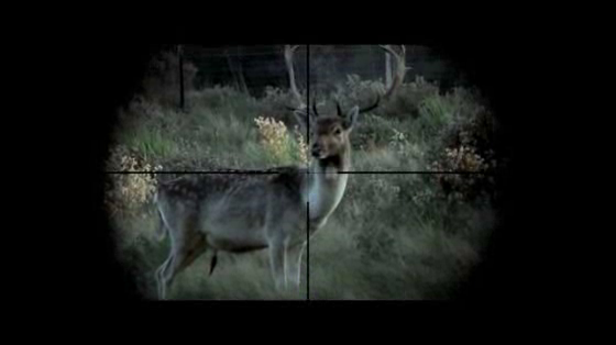Independent Film Festival of Buenos Aires City (BAFICI): Cazadores (Hunters)