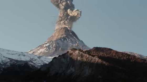 Toyota NZ: Tougher than you can imagine