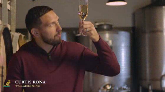 Taylors Wine: A Guide to Wineing