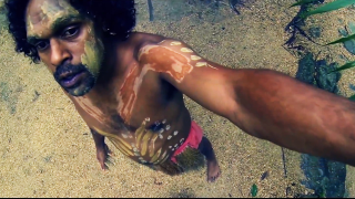 Tropical North Queensland: 1 Day in Paradise -- The Pulse of Paradise. David Parkinson.