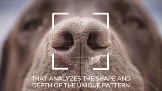 Iams / National Pet ID Week: NOSEiD