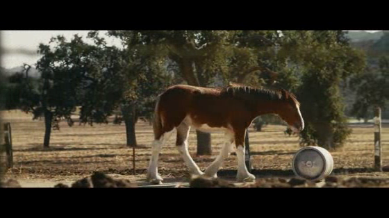 Budweiser: First Delivery - Super Bowl LIX