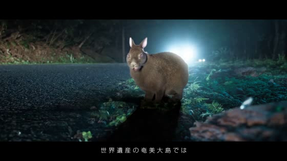 Nissan: ANIMALERT